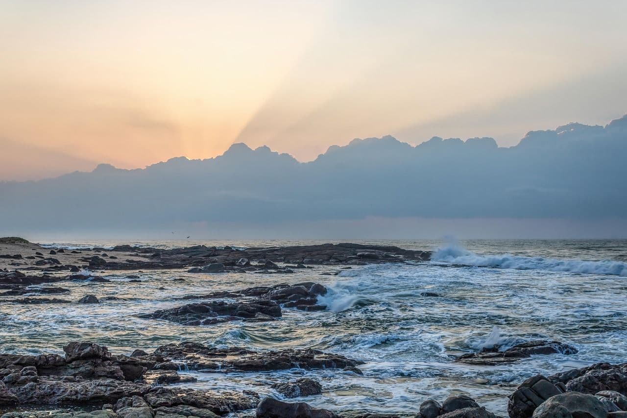 Future Opportunities